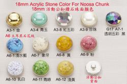  Acrylic Stone Color for Noosa Chunk 